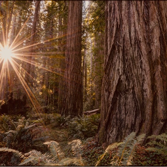 Meet your Posher - Picture 1 of 1